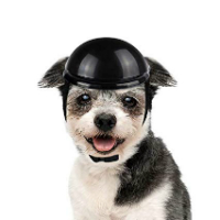 LESYPET Dog Helmet