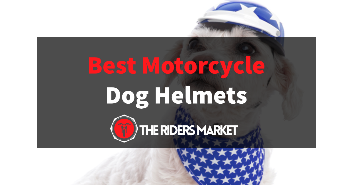 6 Best Motorcycle Dog Helmets To Keep Your Pupper Safe (January 2024 )