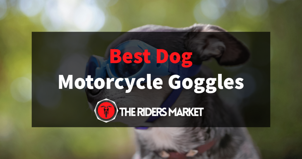 7 Best Motorcycle Dog Goggles Dog Eye Protection (August 2024 )